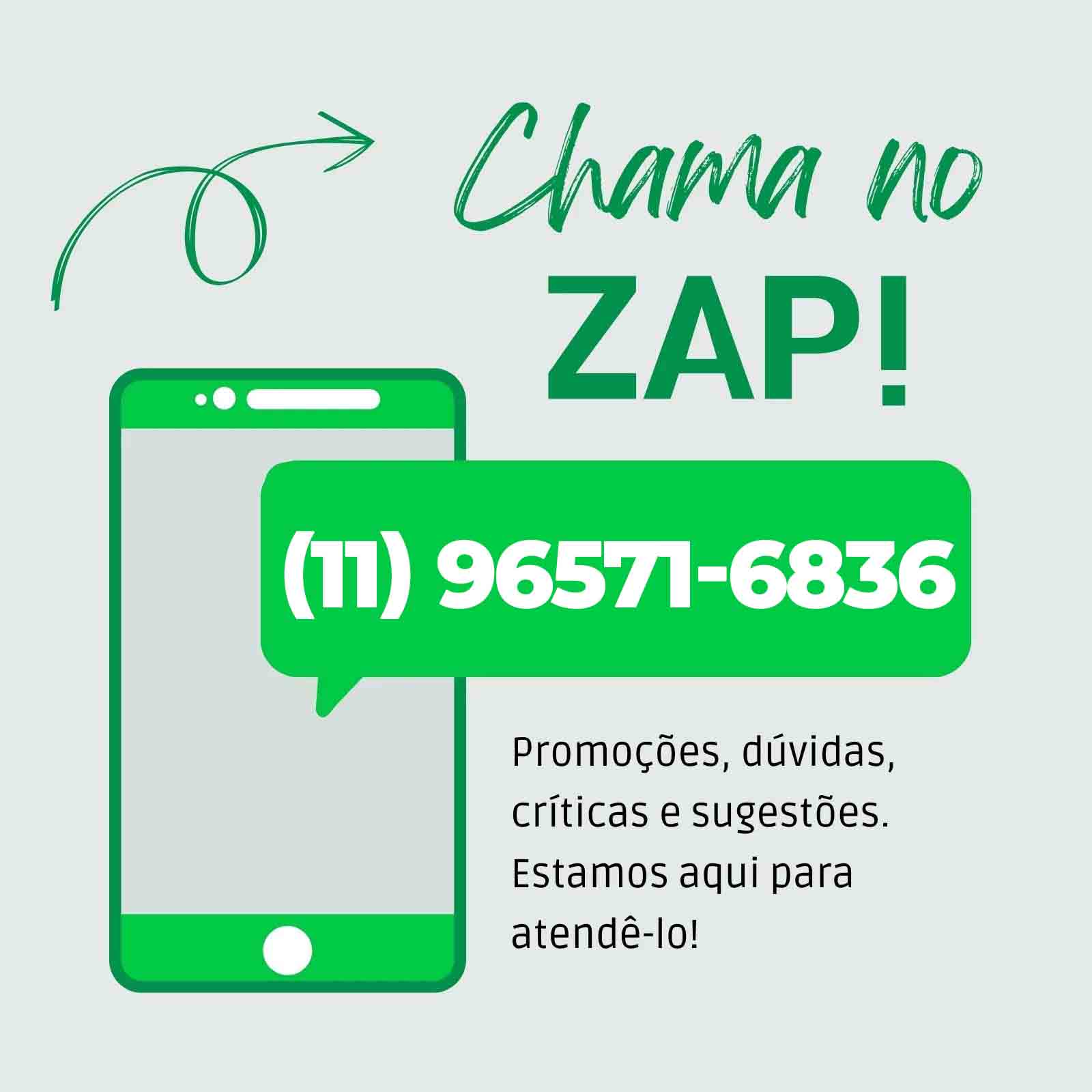 Orçamento desentupidora e dedetização por whatsapp