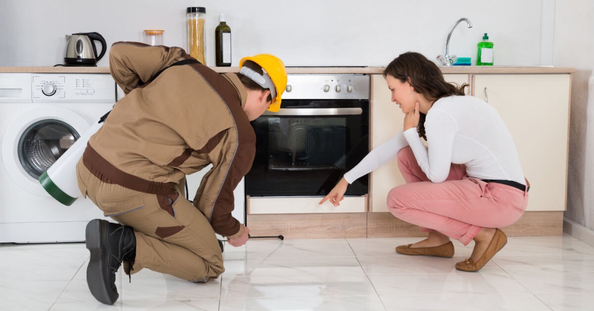 Dedetização em Itaquera