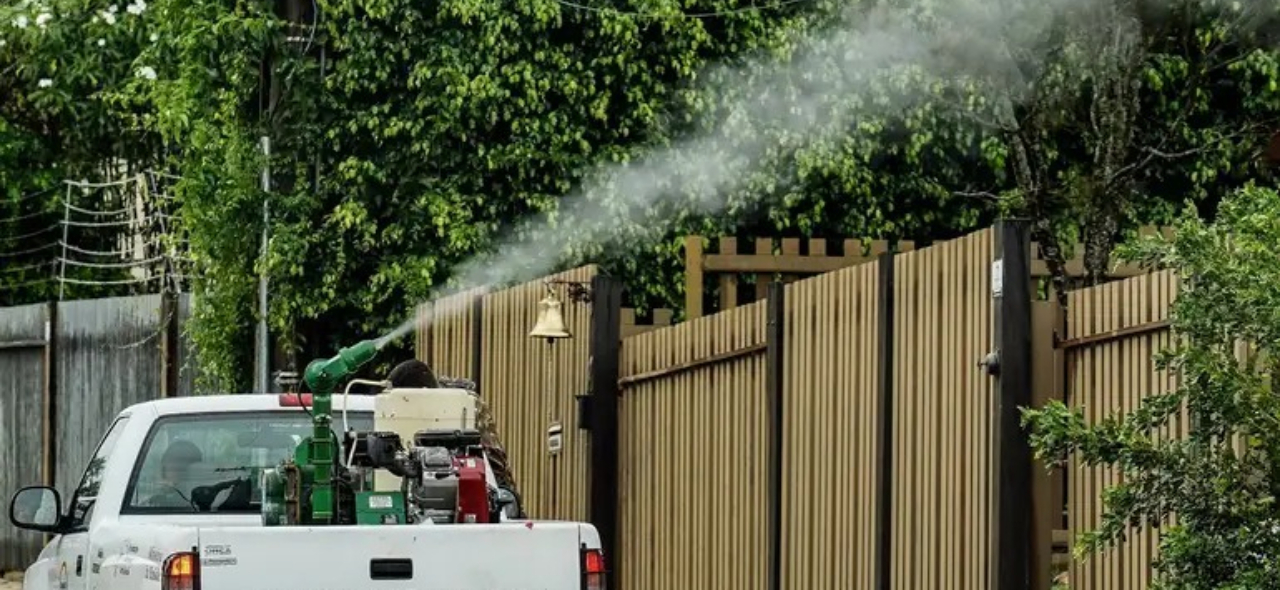 Empresa especializada no Combate de mosquito em São Paulo