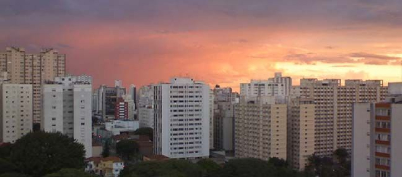 Descupinização no Vila Maria Baixa