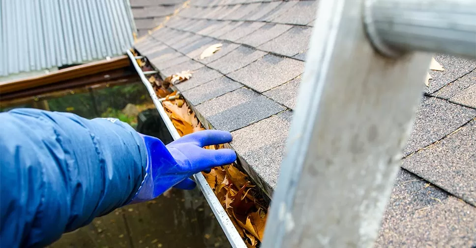 Telefone para Limpeza de calhas em Arujá
