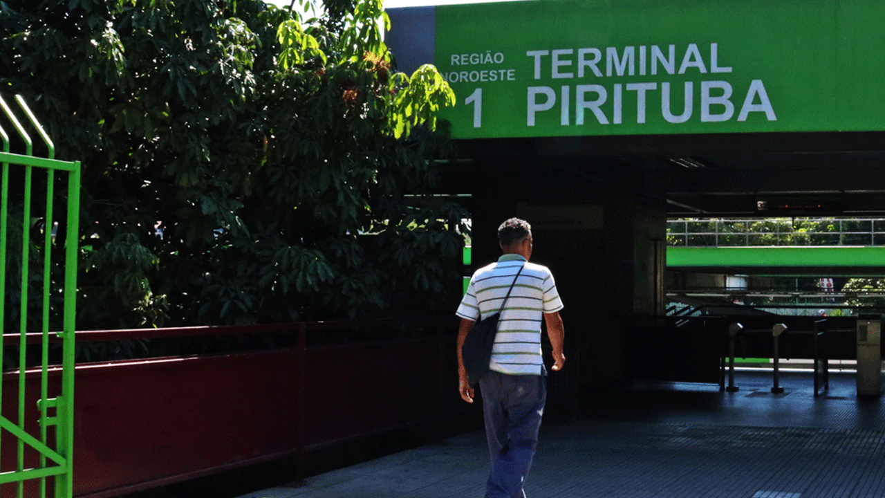 Dedetização em Pirituba, SP