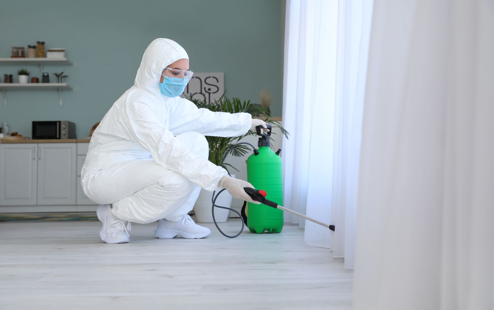 Dedetização em São Paulo