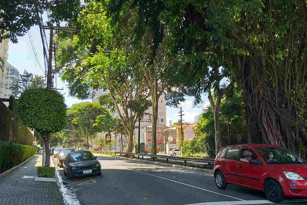 Dedetizadora na Vila Mariana, SP