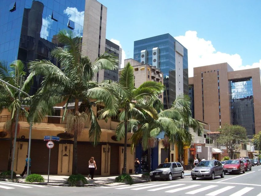 Dedetizadora no Brooklin