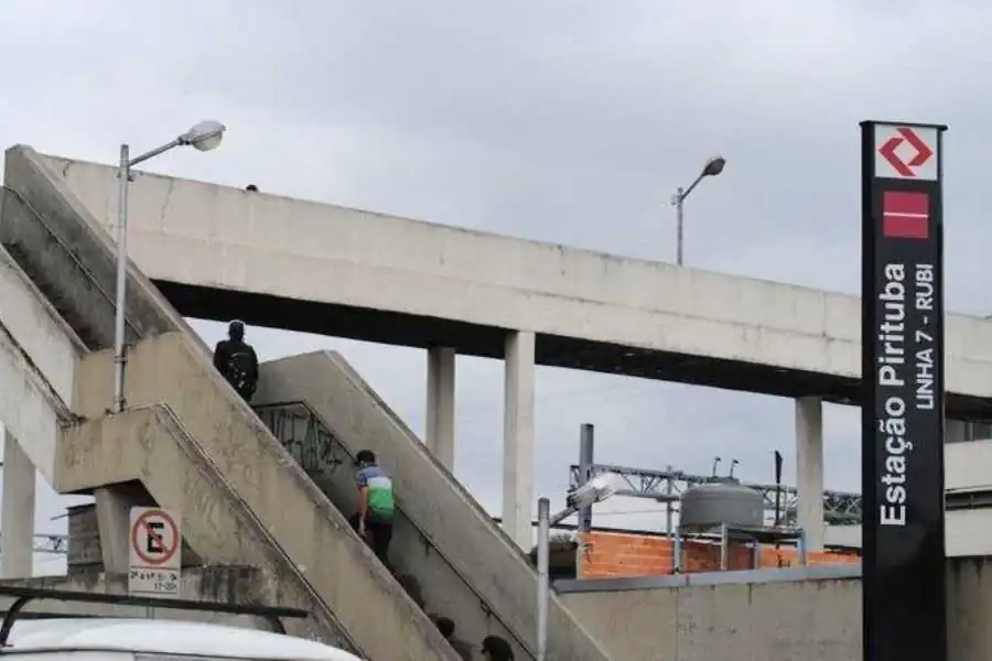 Dedetizadora em Pirituba, SP