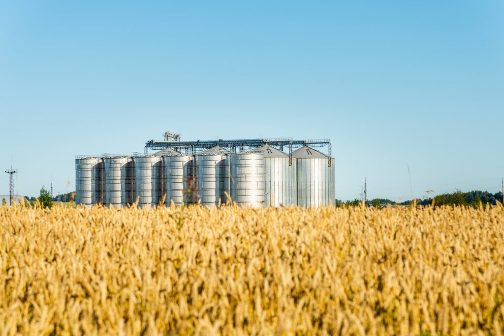 Expurgo em Arujá: Proteção Eficiente Contra Pragas em Grãos e Armazéns