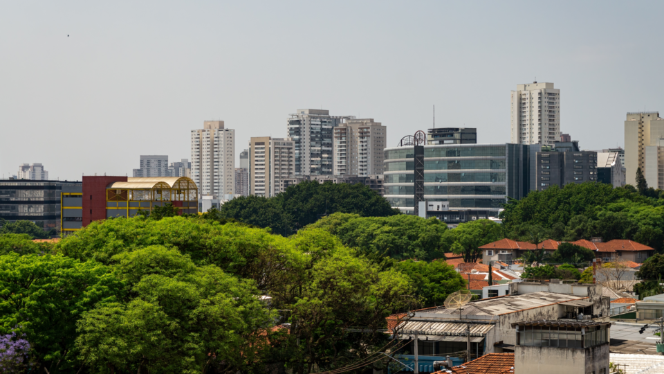 Dedetização na Barra Funda
