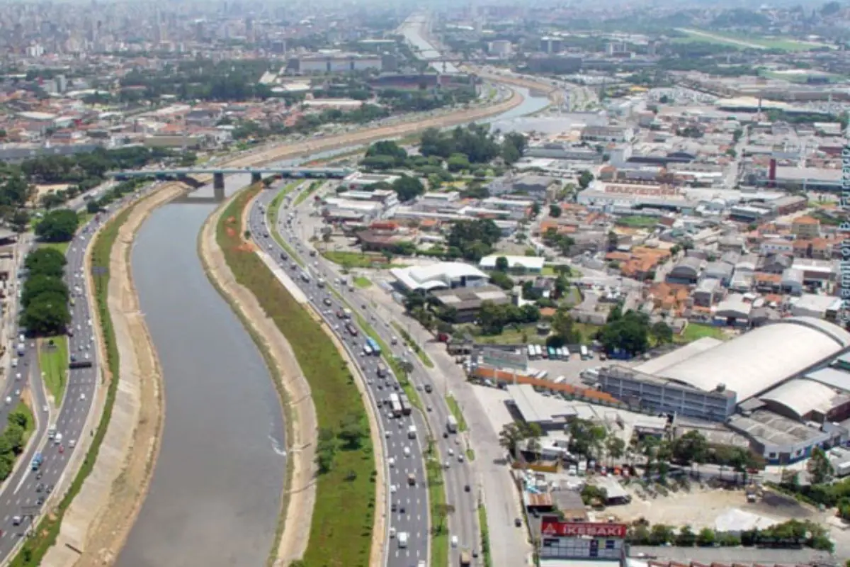 Dedetização na Vila Guilherme