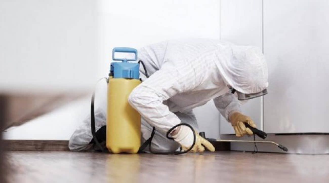 LDTECH: Suas Dúvidas de Dedetização e Desentupimento Respondidas em São Paulo