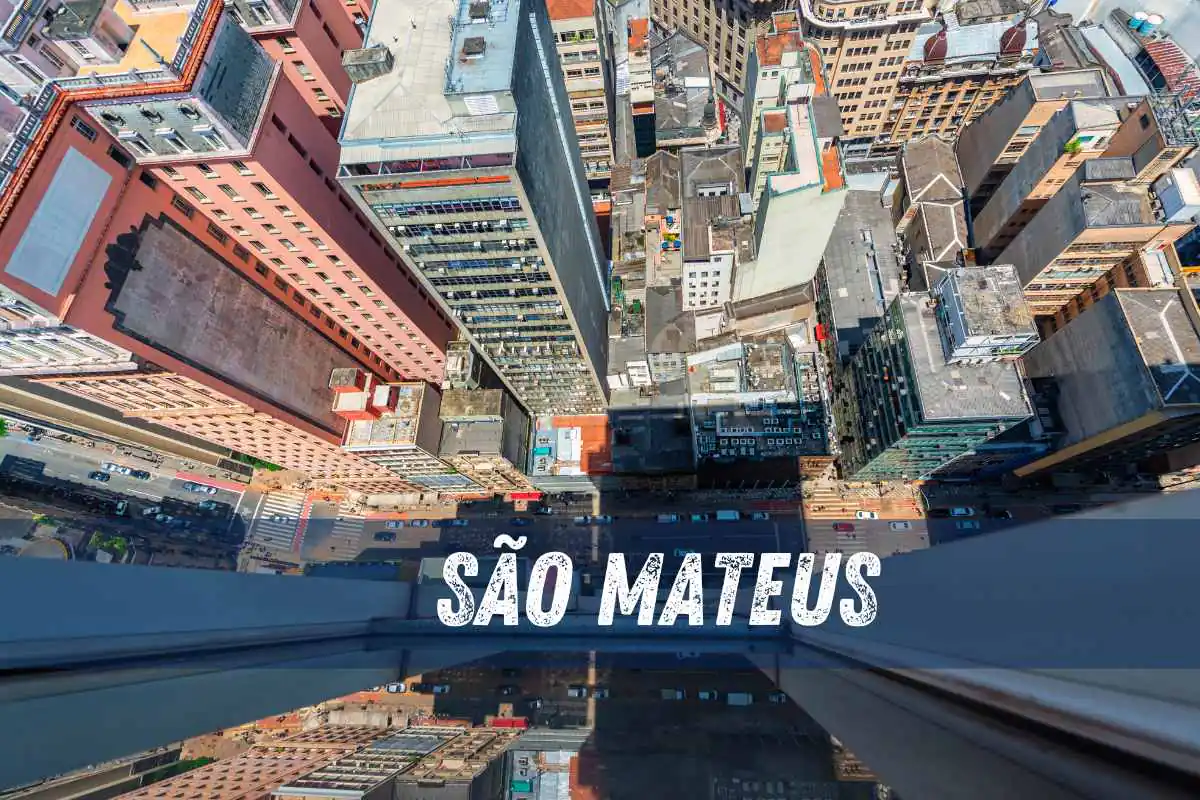 Descupinização em São Mateus