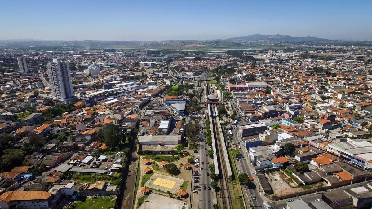 Descupinização no Alto Tiete