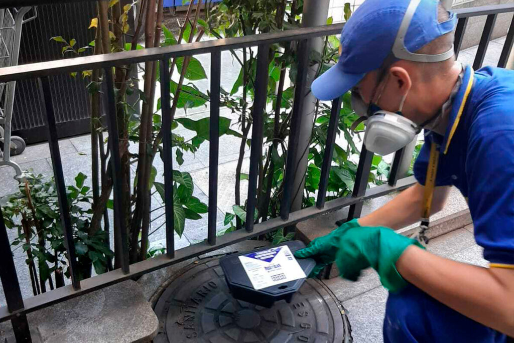 Desratização na Vila Maria Alta: soluções profissionais para eliminar roedores 4 Desratização na Cidade Tiradentes