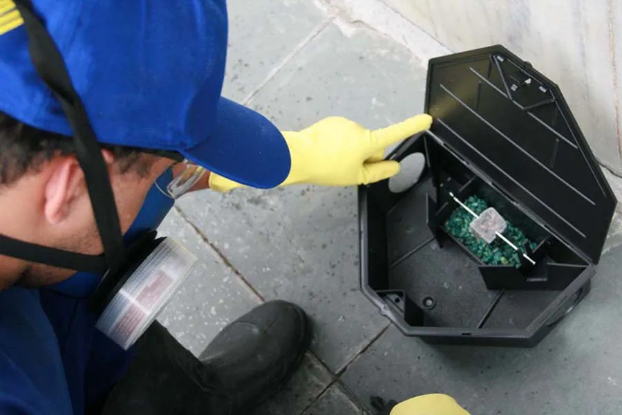 Armadilha para desratização