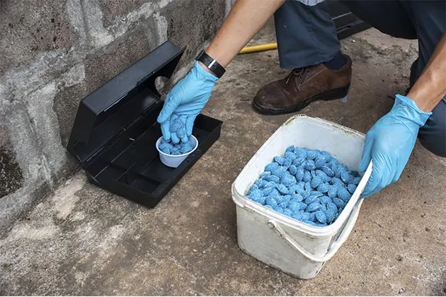 Desratização em Jacareí